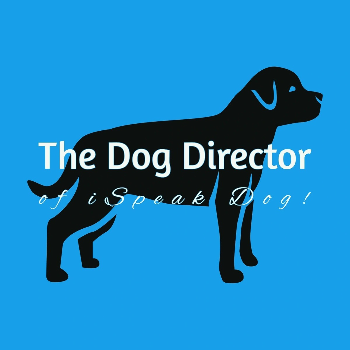 The Dog Director